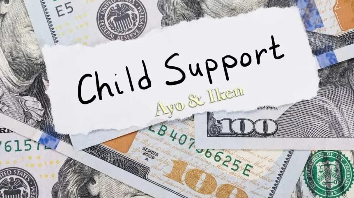 What is Child Support?